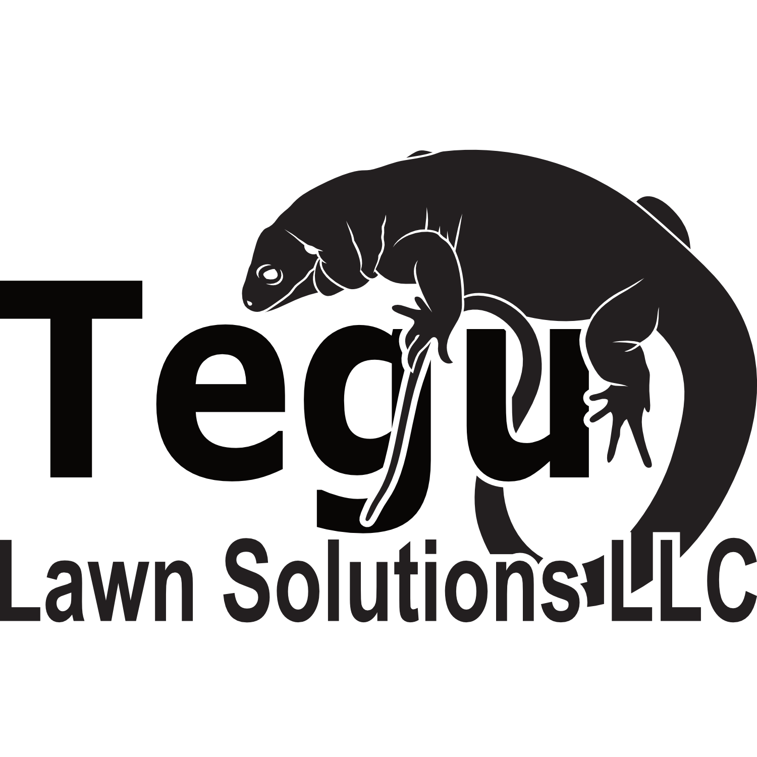 TEGU LAWN SOLUTIONS LLC